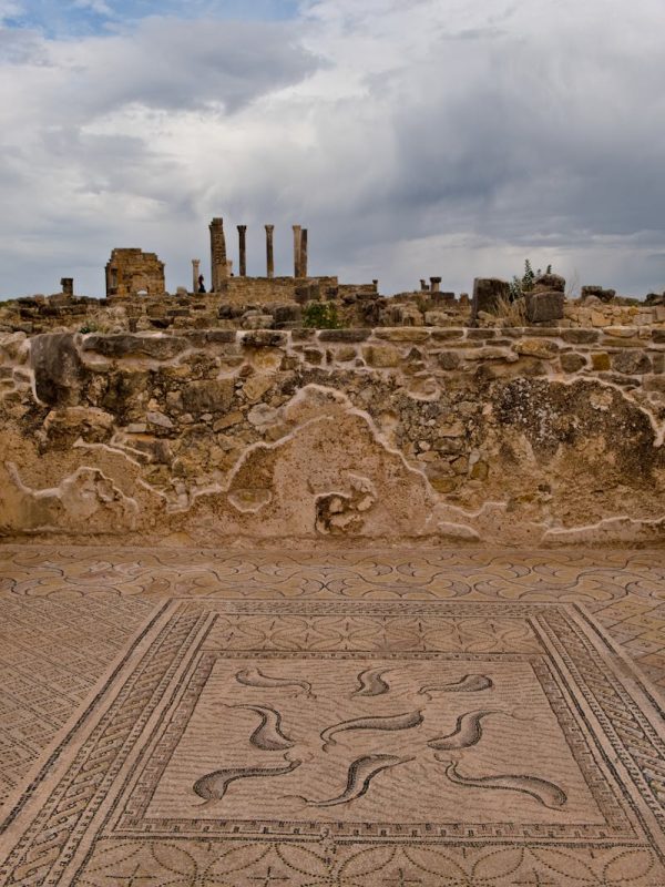 10 Day Morocco Tour From Casablanca 6 Explore the ancient ruins and intricate mosaics in Volubilis, Morocco's historic site.