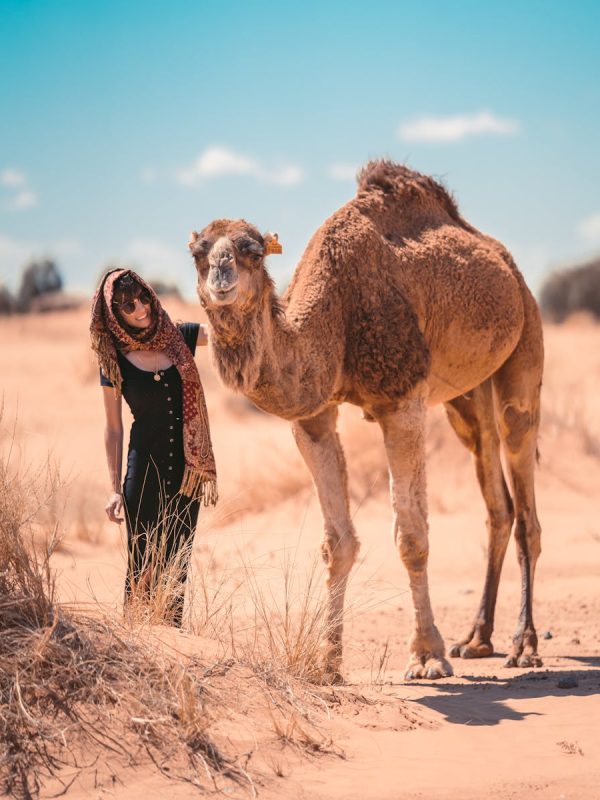 3-Days Marrakech to Merzouga Dunes Desert Tour with Camel Trek 7 A woman and camel in the sunlit dunes of Merzouga, Morocco.