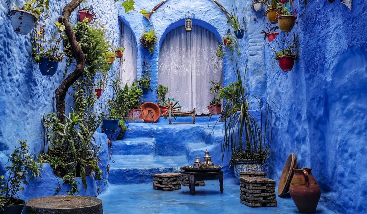 a blue alley with potted plants and a bench