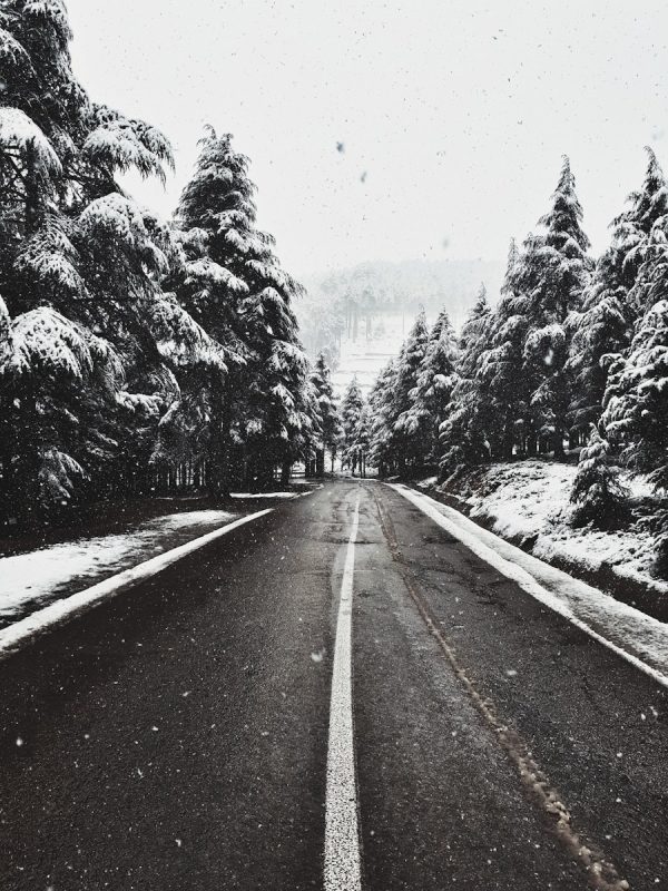 4 Days Tour From Marrakech To Fes 7 gray concrete road between trees covered with snow