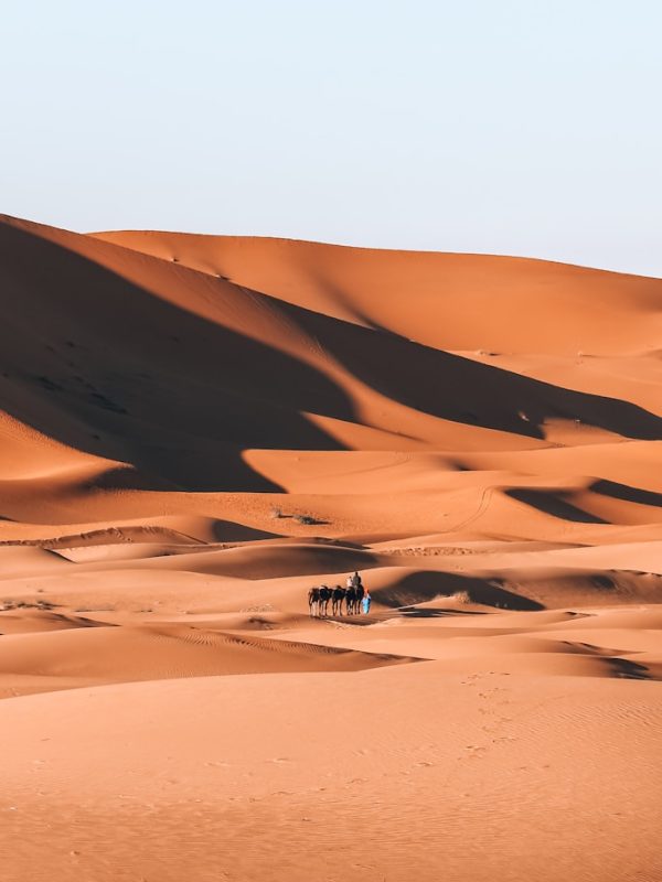 Errachidia to Merzouga: Experience the Desert Magic in 2 Day 3 white and brown desert under blue sky during daytime,Errachidia to Merzouga