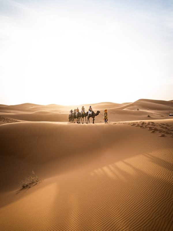 4 Days Tour From Marrakech To Fes 6 a group of people riding camels across a desert