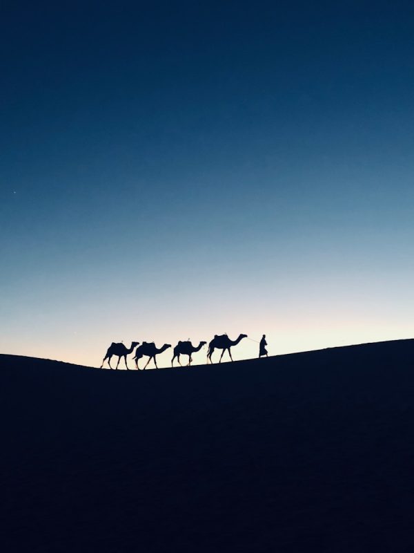 Errachidia to Merzouga: Experience the Desert Magic in 2 Day 1 silhouette photography of four camels